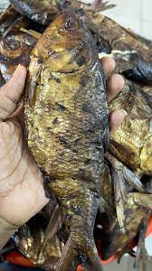AGBODO FISH