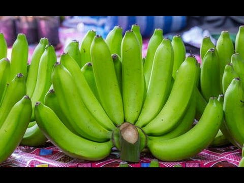 Jamaican Green Banana