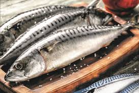 MACKERAL HALF BOX