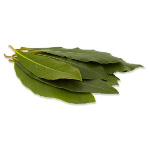 Bay Leaf