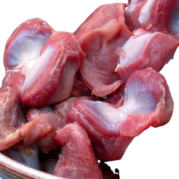 Chicken gizzard