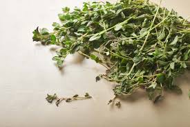 oregano