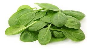 SEA FOOD SPINACH