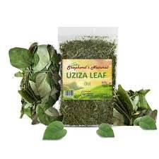 UZIZA LEAVE