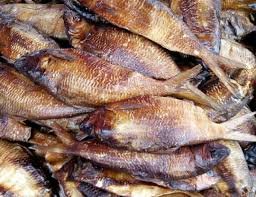 BONGA FISH