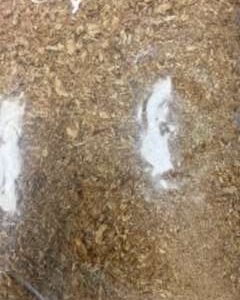 1STOP GRINDED CRAYFISH