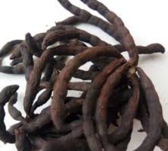 ERU SEED