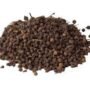UZIZA SEED