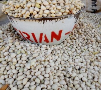 WHITE BEANS