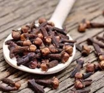 CLOVE SEEDS