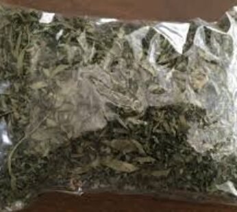 UTAZI DRIED LEAF