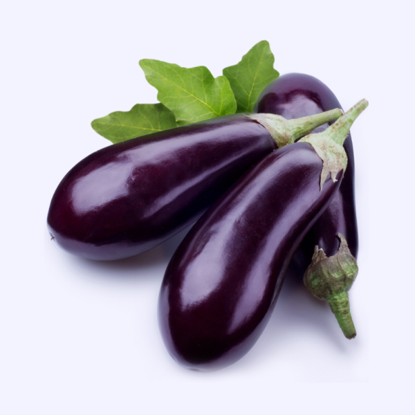 Ruker Egg Plant