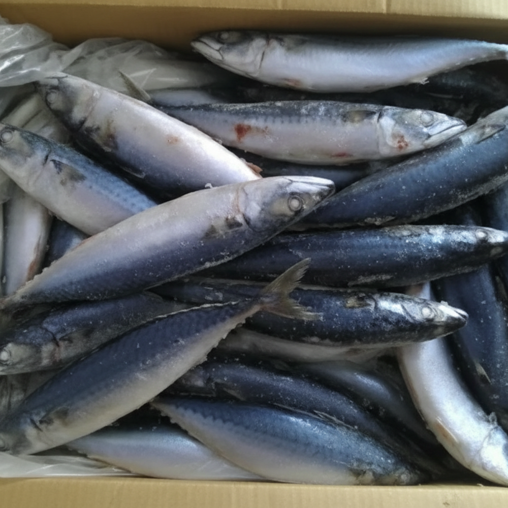 Untitled-design-80.png IQF Mackerel - Image 1