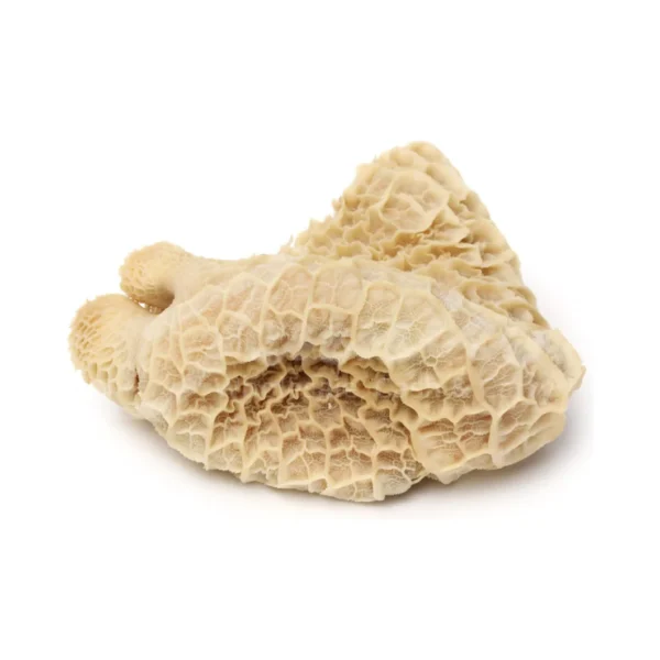 Frozen Honeycomb Beef Tripe