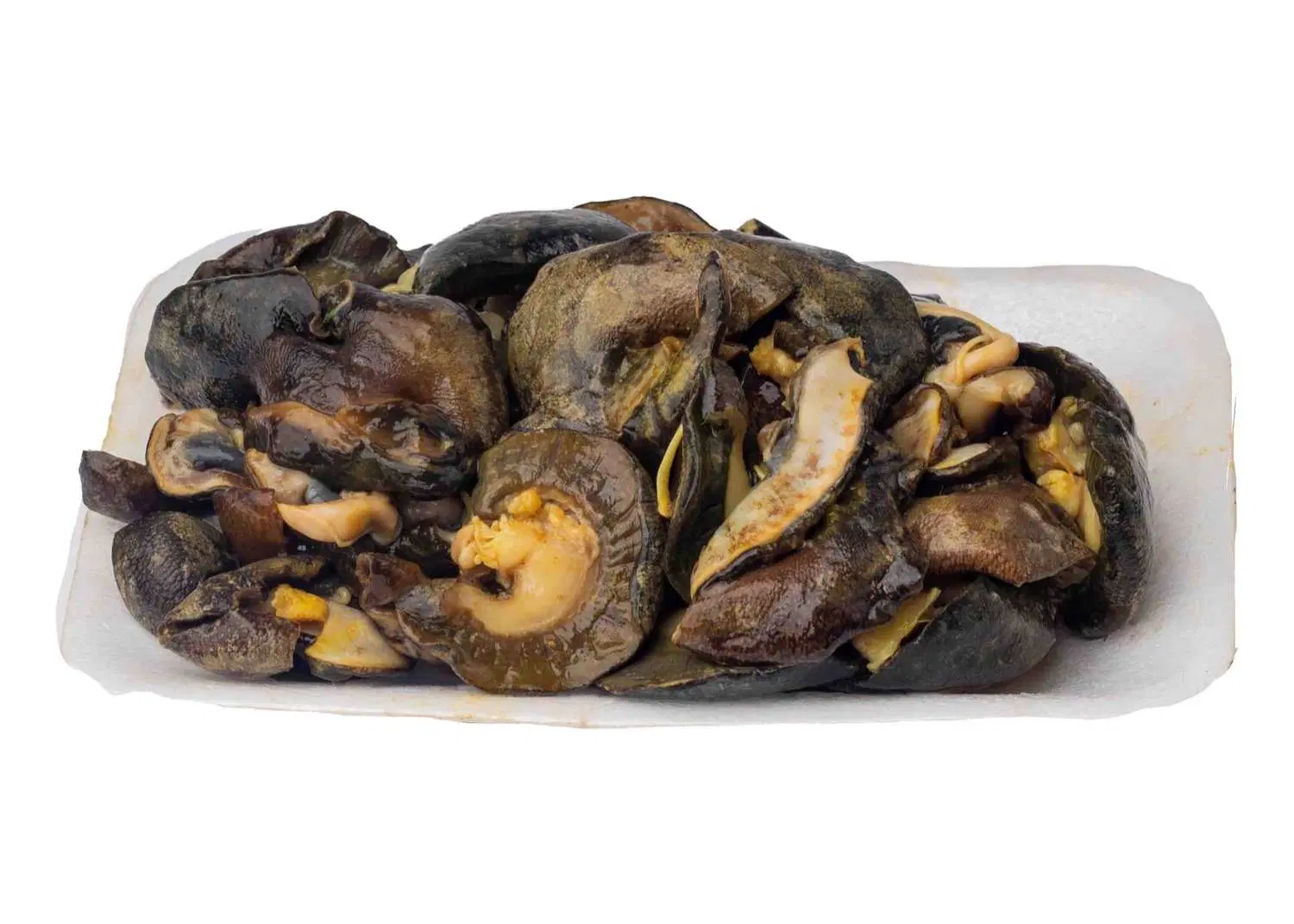 image.webp Snail - Image 1