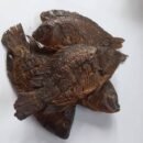 Smoked Tilapia Gerrybell