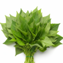 Fresh Bitter Leaf