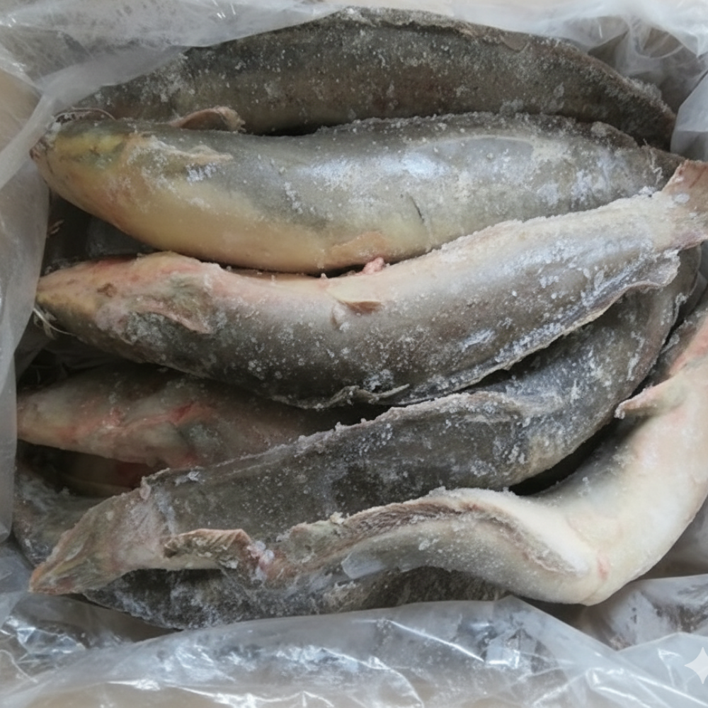Frozen Catfish